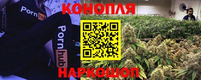 молекула духа Малгобек