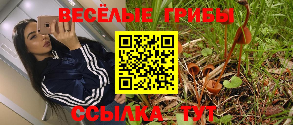 Галлюциногенные грибы мицелий Тольятти