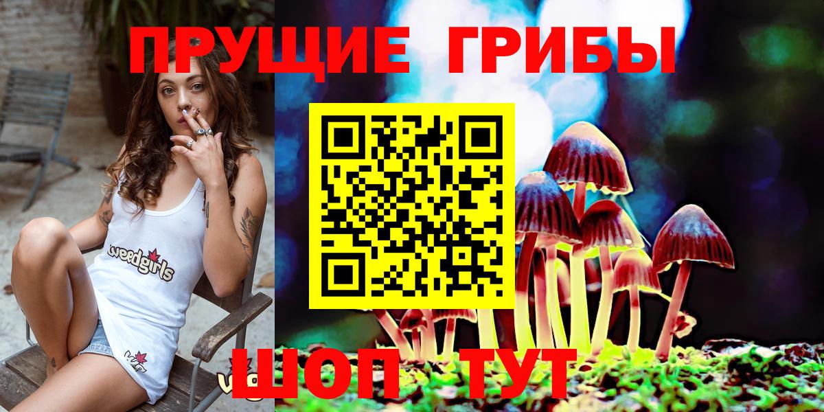 Тольятти  Псилоцибиновые грибы MAGIC MUSHROOMS  Вход с VPN 